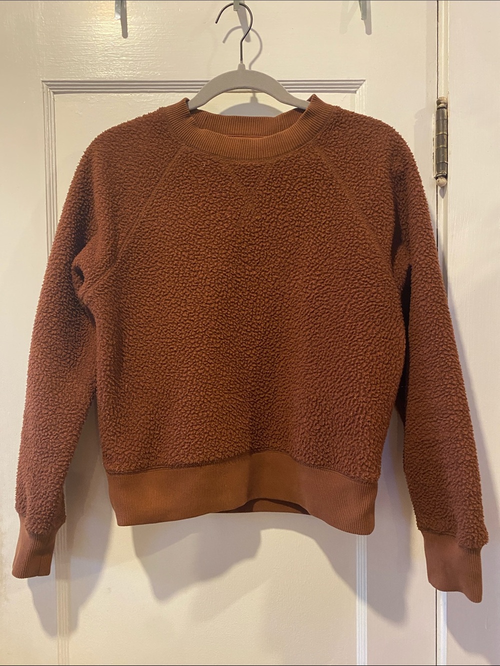 Everlane Rust Sherpa Crewneck Sweater